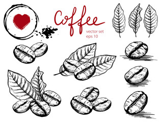 Set of coffee beans and leaves in a graphic style. Separate elements on a transparent background. For the design of coffee shops and restaurants.