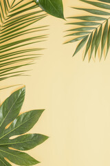 A beautiful textured green leaves of palm and other tropical plants  on a pastel sand color background with creative copy space. Top view. Flat lay  minimal arrangement.