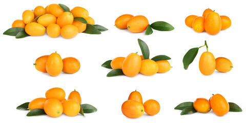 Set with fresh ripe kumquat fruits on white background. Banner design
