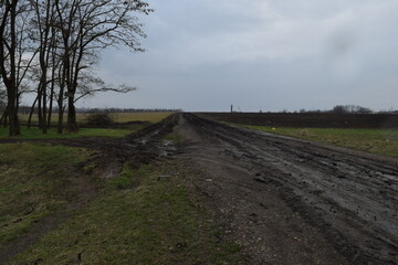 Fototapeta premium Dirty road in the field.