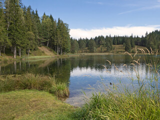 am Ufer des Wildensee bei Mittenwald in Oberbayern