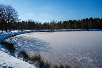 Frozen pond in the forest
