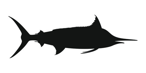 Marlin sea fish graphic icon. Sign blue marlin isolated on white background. Vector illustration