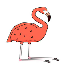 Vector outline cartoon pink peach flamingo isolated on white background. Doodle animal sleeps on bent legs at the knees, eyes closed.