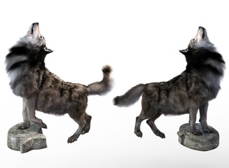 Grey wolves howling render with white background	