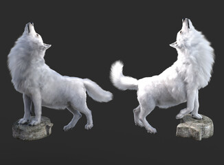 White wolves render with grey background	