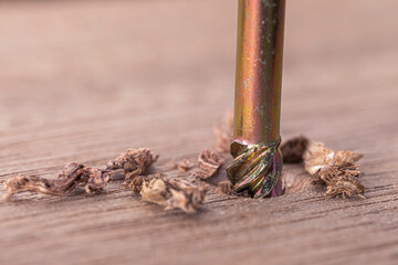 Screwdriver screw in a wood oaks plank. Self-tapping screw for Torx 25 bit. Screws macro photo....