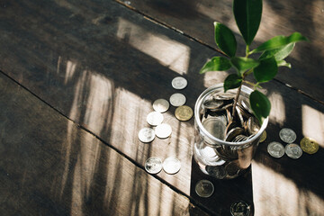 Green plant on coin in glass jar, business financial banking saving concept, investment profit...