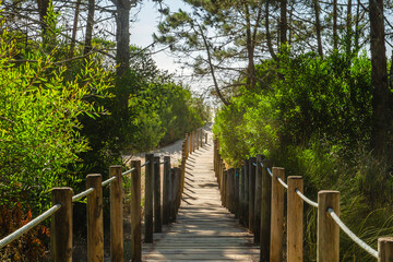 Wooden footbridge leading to the beach across the dunes in protected area