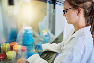 Female technician working with samples in a lab biosafety cabinet