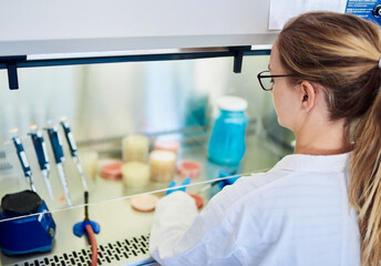 Female technician checking samples in a biosafety cabinet in a lab