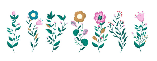 Colourful vector flowers - Set of flower illustrations on white background.