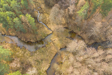 Mała, nieuregulowana rzeka płynąca przez las. Zdjęcie z drona. - obrazy, fototapety, plakaty