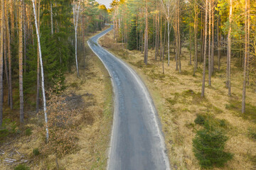 Asfaltowa droga przez iglasty las. Zdjęcie z drona.