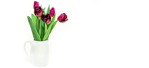 Purple tulips in vase on a white isolated background. Flower composition and spring concept