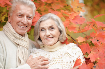 smiling senior couple posing  in the park