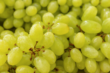 Ripe green grapes as background