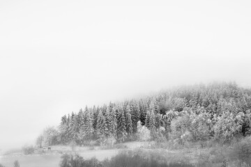 zima las góry śnieg - obrazy, fototapety, plakaty