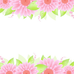 Pink Gerbers, Isolated On White Background, Vector Illustration