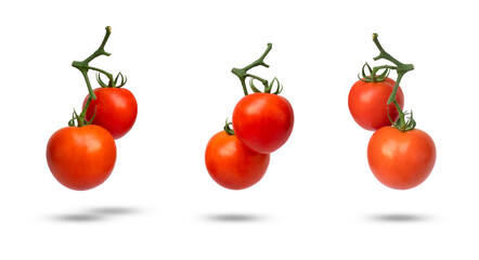 collection of tomatoes on the vine isolated on white background