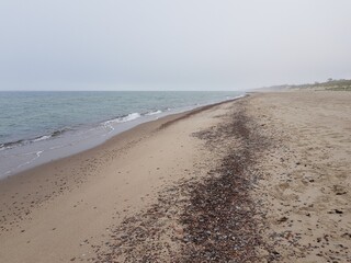 Sandy coast of the Baltic Sea