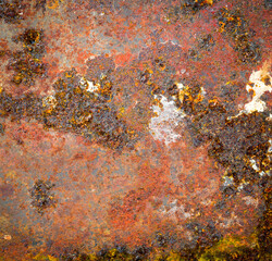 Makroaufnahme einer Korrodierenden Metallplatte