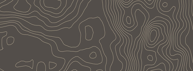 Contours vector topography. Geographic mountain topography vector illustration. Topographic pattern texture. Elevation graphic contour height lines.