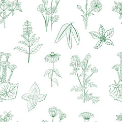 Seamless pattern with a set of medicinal herbs and plants. Collection of hand drawn flowers and herbs. Botanical plant illustration. Vintage medicinal herbs sketch. 