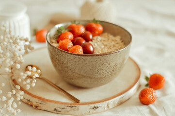 bowl of oatmeal with berries