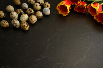 Quail eggs lie in a row on a dark background.