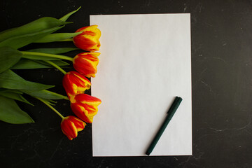 A bouquet of tulips lies on a dark background, near a white sheet and a pen for the inscription. 