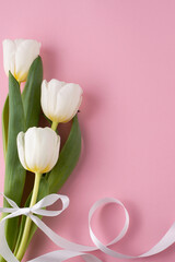 White tulips are placed on a pink background with space for writing text.
