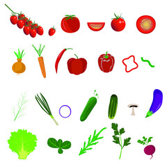 Collection of vegetables , different style designs, scalable vector set, healthy food