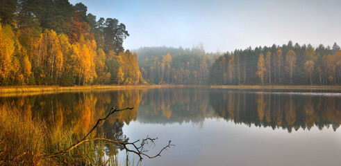 Piękne  mgliste  Leśne  Jesienne Jezioro  - obrazy, fototapety, plakaty