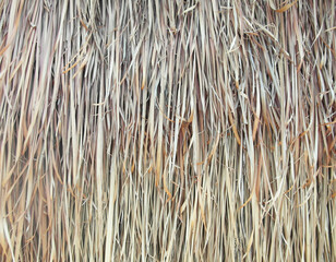 Big part of straw roof at the house. Its can be used as texture.