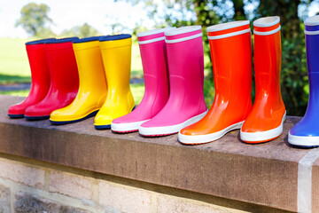 Closeup of colorful rain boots for school and preschool children in autumn forest. Close-up of...