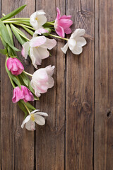 beautiful tulips on old dark wooden background