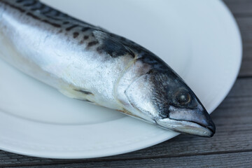 Fresh raw mackerel on a white plate on a wooden background.