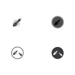 Ant vector illustration design