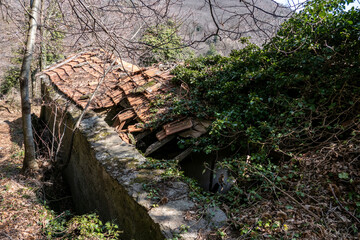 Boschi di Alpicella, Parco del Monte Beigua (Savona)