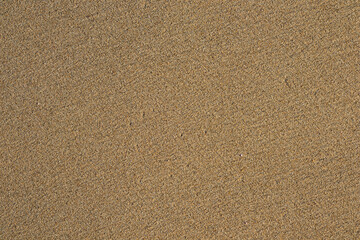 Fototapeta na wymiar Fine sand texture
