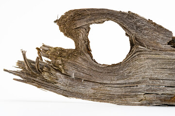 Holzauge