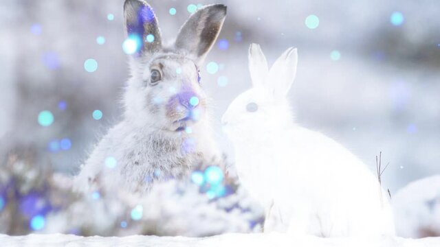 hares relax energy a stream of luminous particles, a cycle of a stream of luminous particles. light effects moving and flexible lines in abstract style profit energy meditation