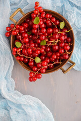 Fresh red currant grapes on the wooden table