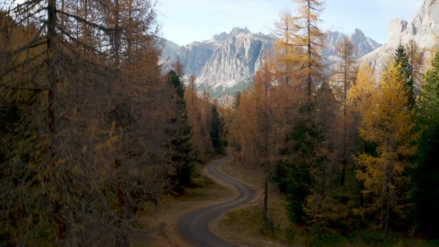 Flying Up From Small Road On A Larch Tree Forest To The Beauty Of The Dolomites