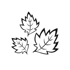 Leaf icon vector illustration