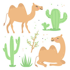 Hand drawn childish set with camels, cactus and plants.
