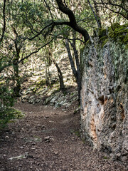 Fototapeta premium walking path with magical ambient paved with rocks towards the tourist attraction of the famous Es Freu (Orient), hiking area near the village of Bunyola on the balearic island of mallorca, spain 