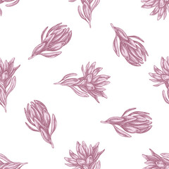 Fototapeta na wymiar Seamless pattern with hand drawn pastel leucadendron