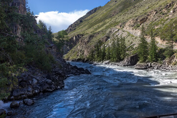 Naklejka na ściany i meble Raging mountain river, Chuya Tributary of the Katun River. Mountain Altai